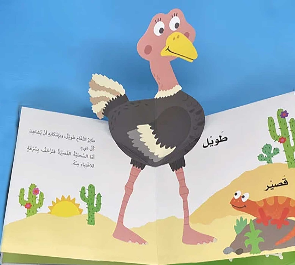 تعلم مع الأشكال الظاهرة الأضداد-مثال