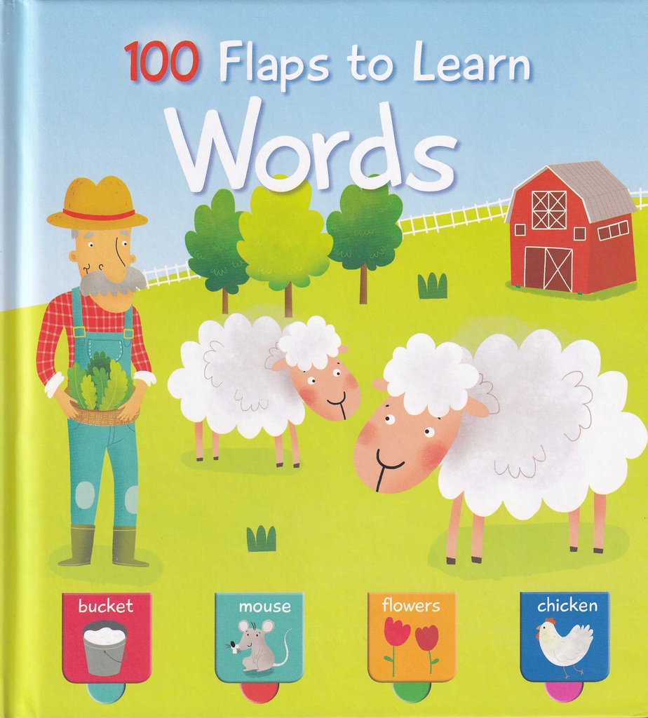 100 Flaps to lo learn Words