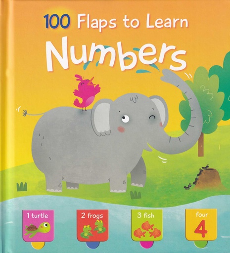 100 Flaps to lo learn Numbers